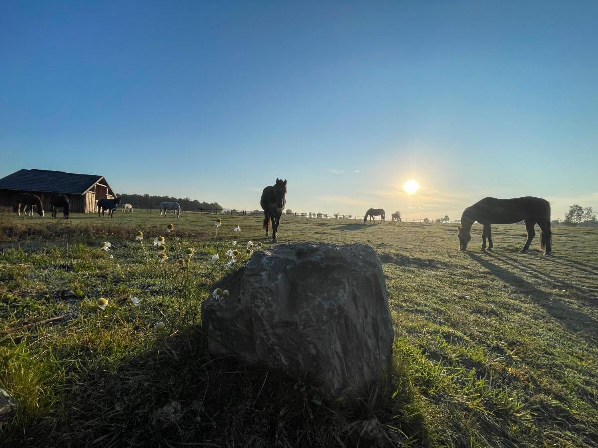 Willa Dum Splnenych Prani Praslavice Zewnętrze zdjęcie